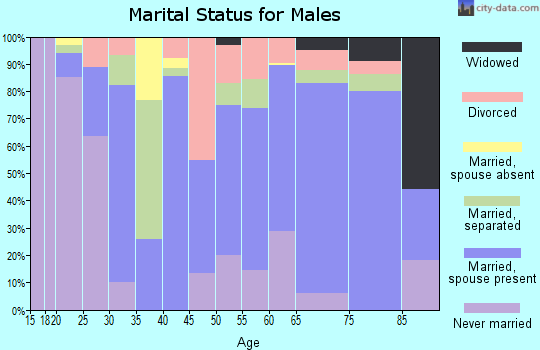 Zip code 41179 marital status for males