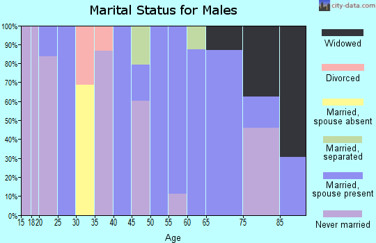 Zip code 41180 marital status for males