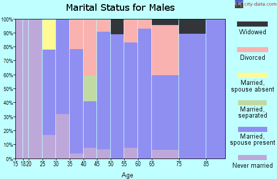 Zip code 41183 marital status for males