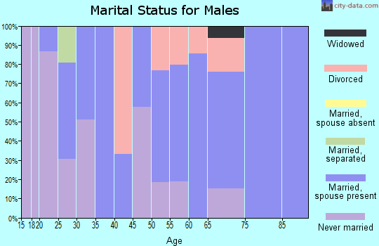 Zip code 41189 marital status for males