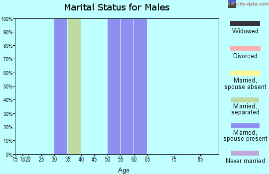 Zip code 41201 marital status for males