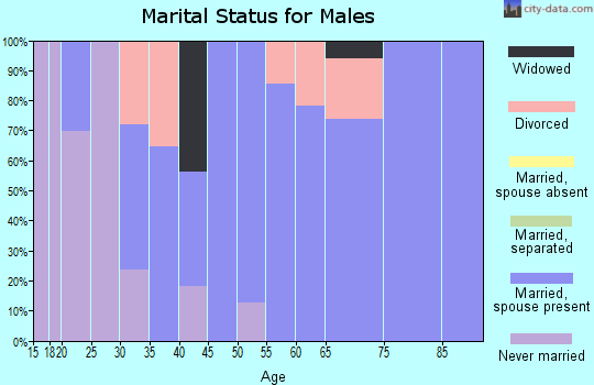 Zip code 41222 marital status for males