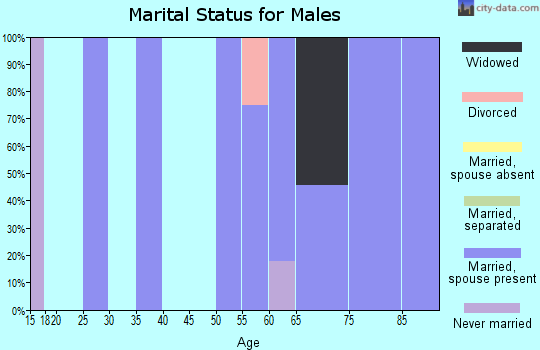 Zip code 41238 marital status for males