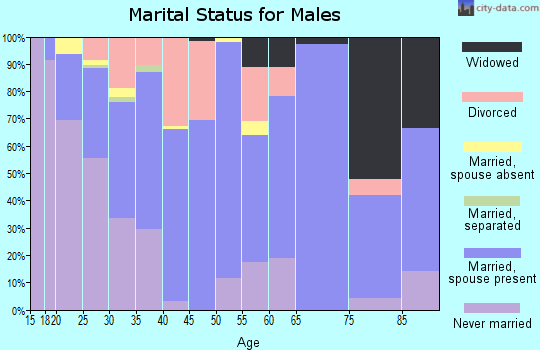 Zip code 41240 marital status for males