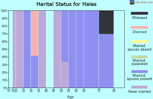 Zip code 41260 marital status for males