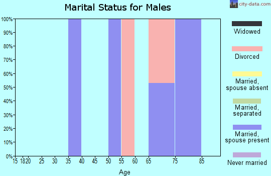 Zip code 41264 marital status for males