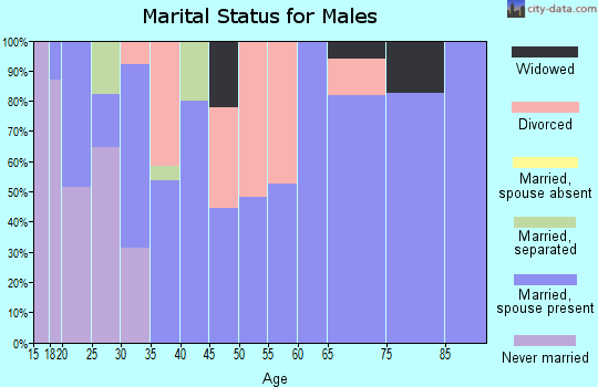 Zip code 41267 marital status for males