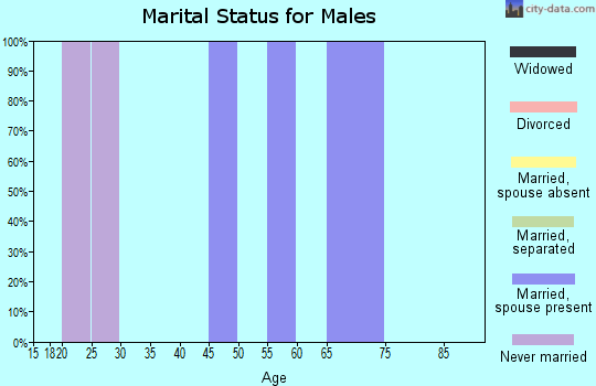 Zip code 41268 marital status for males