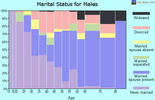 Zip code 41311 marital status for males
