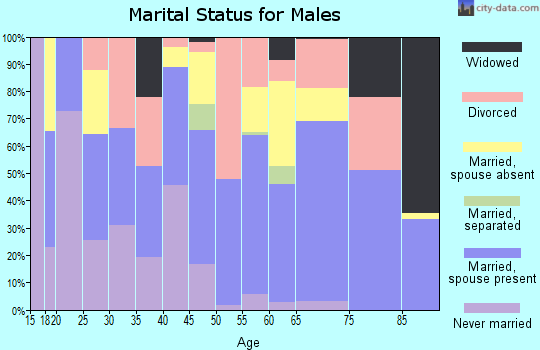 Zip code 41314 marital status for males