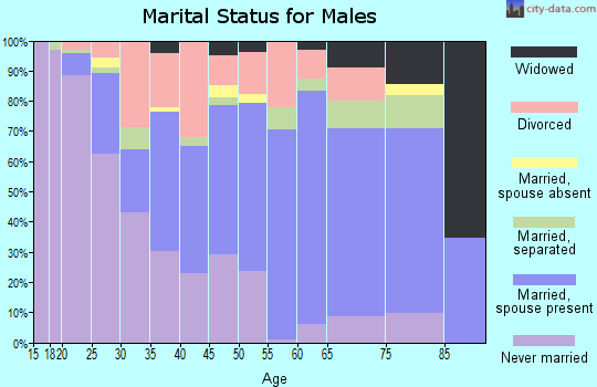 Zip code 41339 marital status for males