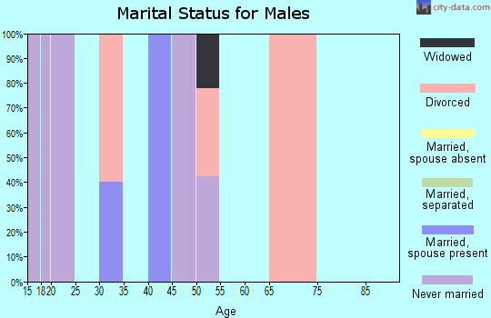 Zip code 41360 marital status for males