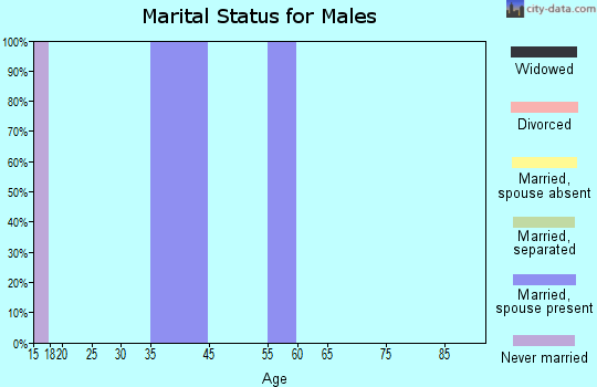 Zip code 41386 marital status for males
