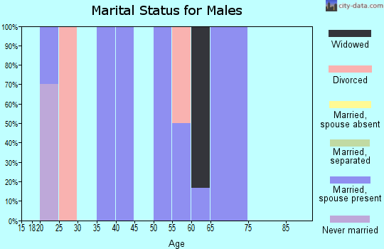 Zip code 41408 marital status for males