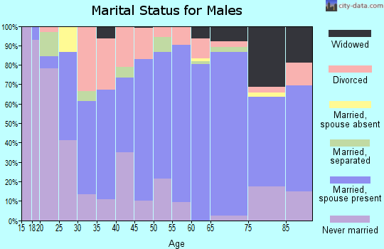 Zip code 41465 marital status for males
