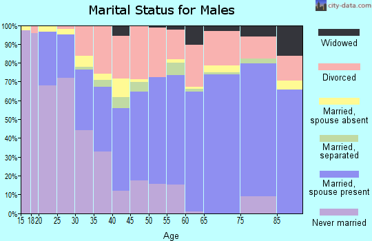 Zip code 41472 marital status for males