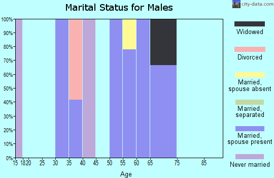 Zip code 41503 marital status for males
