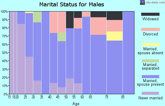 Zip code 41514 marital status for males