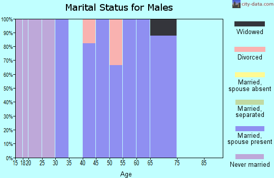 Zip code 41527 marital status for males