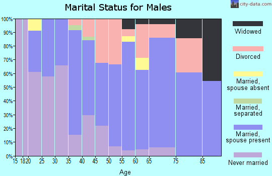 Zip code 41537 marital status for males