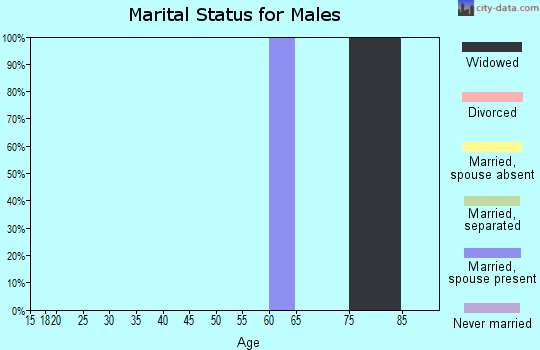 Zip code 41538 marital status for males