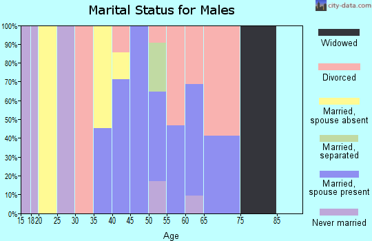 Zip code 41558 marital status for males