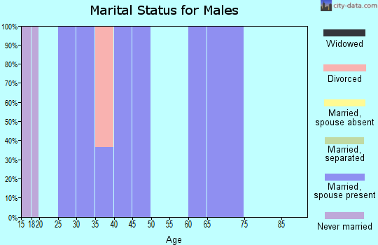 Zip code 41559 marital status for males
