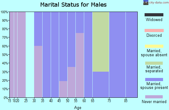 Zip code 41601 marital status for males
