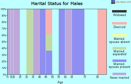 Zip code 41604 marital status for males