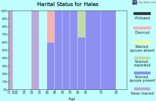 Zip code 41606 marital status for males
