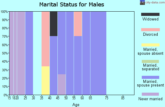 Zip code 41631 marital status for males