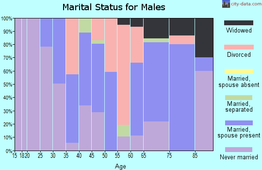 Zip code 41649 marital status for males
