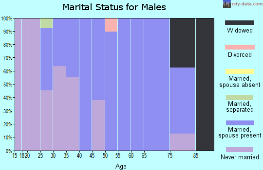 Zip code 41666 marital status for males