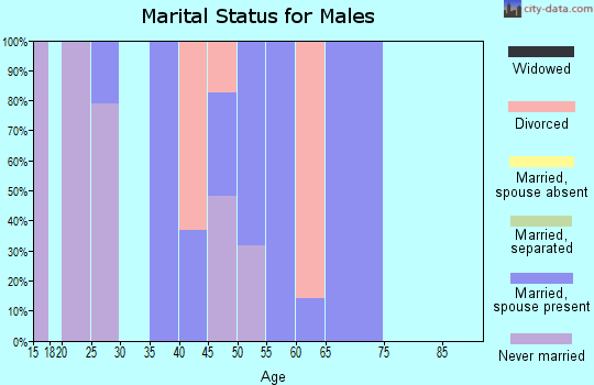 Zip code 41667 marital status for males