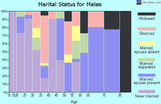Zip code 41669 marital status for males