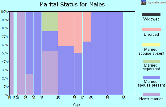 Zip code 41736 marital status for males