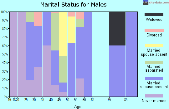 Zip code 41773 marital status for males