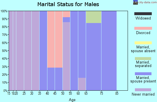Zip code 41804 marital status for males