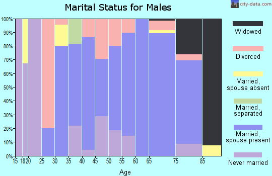 Zip code 41822 marital status for males