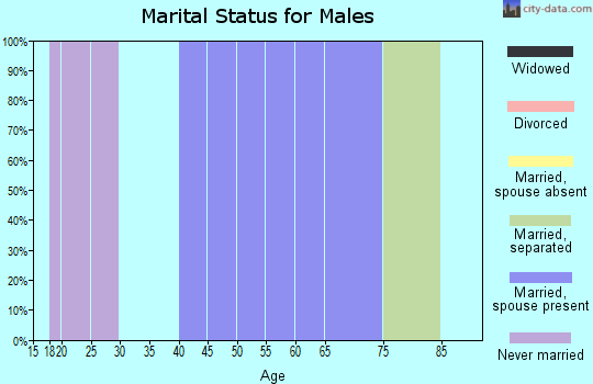 Zip code 41826 marital status for males