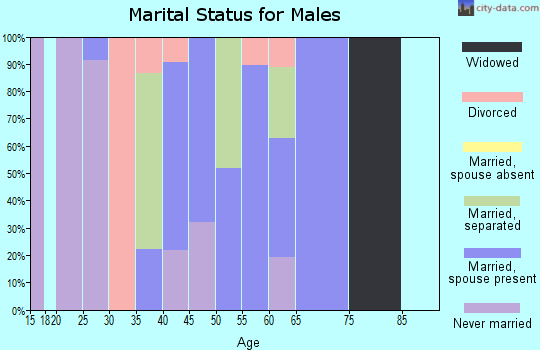 Zip code 41828 marital status for males
