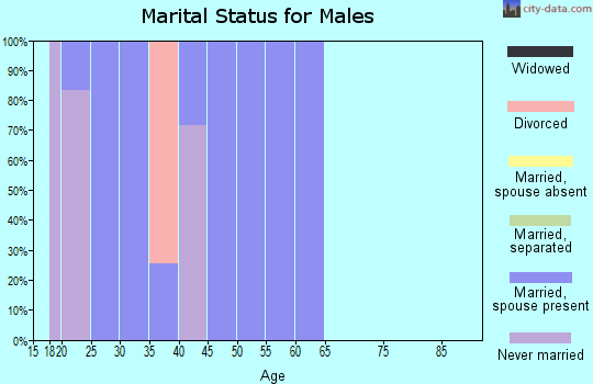 Zip code 41834 marital status for males