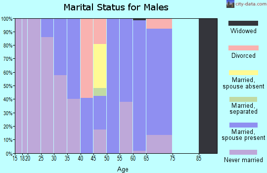 Zip code 41844 marital status for males