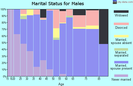 Zip code 41858 marital status for males