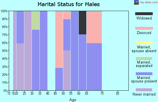 Zip code 41862 marital status for males