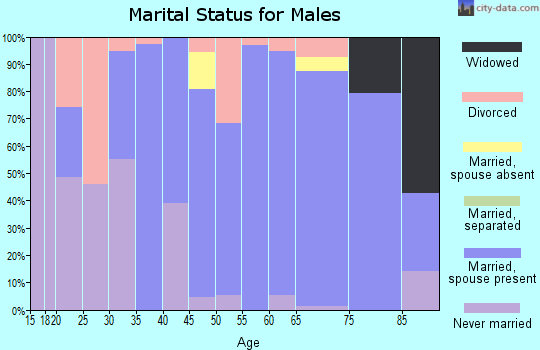 Zip code 42021 marital status for males