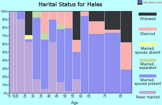 Zip code 42023 marital status for males