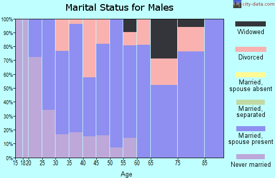 Zip code 42024 marital status for males