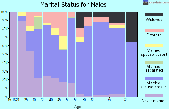 Zip code 42025 marital status for males