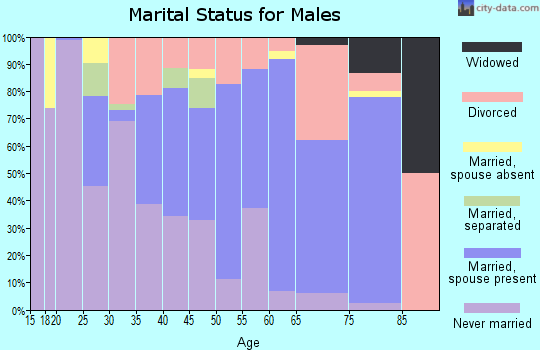 Zip code 42031 marital status for males